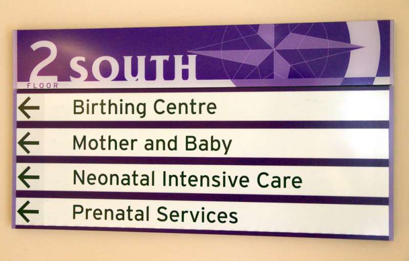 birthing_option_public_hospital__babyinfo