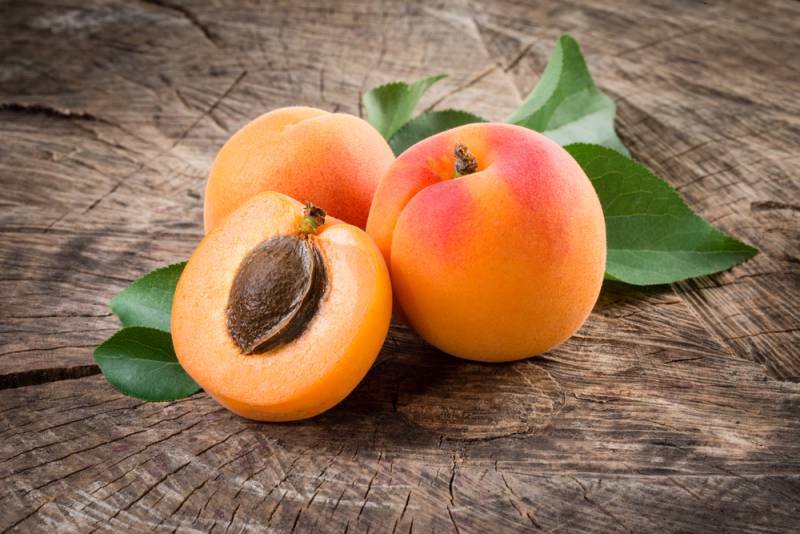 foods_for_breastfeeding_apricots_babyinfo