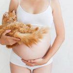 Toxoplasmosis: Cat Disease during Pregnancy