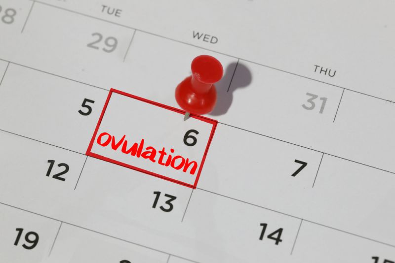 track_your_ovulation